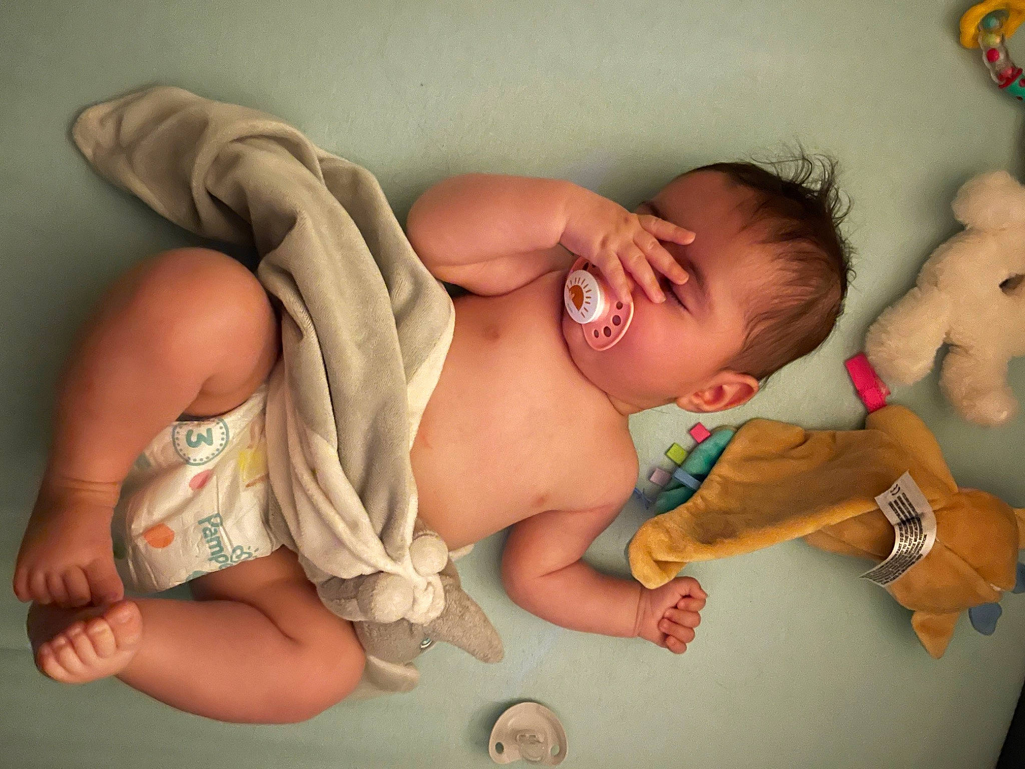 Laora a rejoint le concours — aidez-le/la à gagner de superbes lots ! arm, baby, cheek, chest, comfort, eye, facial_expression, finger, hand, head, human, human_body, joint, mouth, muscle, neck, person, skin, stomach, textile