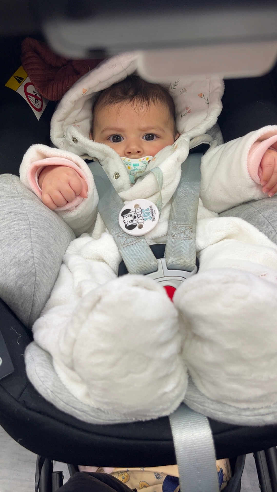 Linaya participe au concours pour gagner de l'argent avec cette photo : baby, infant, child, car_seat, pacifier, winter_clothing, hood, onesie, safety_strap, buckle, wide_eyes, bundled, hands, feet, soft_texture, stroller, cozy, portrait, looking_at_camera, cartoon_button
