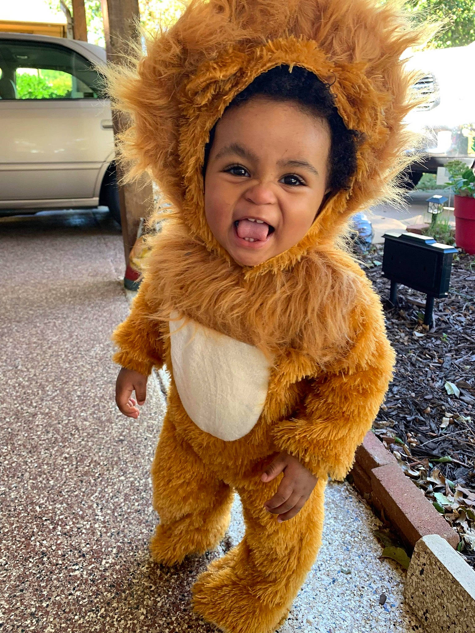 Alex is registered to the contest to win money with this photo: beauty, brown_hair, car, child, family_car, fashion_accessory, flooring, fun, fur, fur_clothing, gesture, glove, grass, happy, outerwear, person, plant, smile, tire, toddler