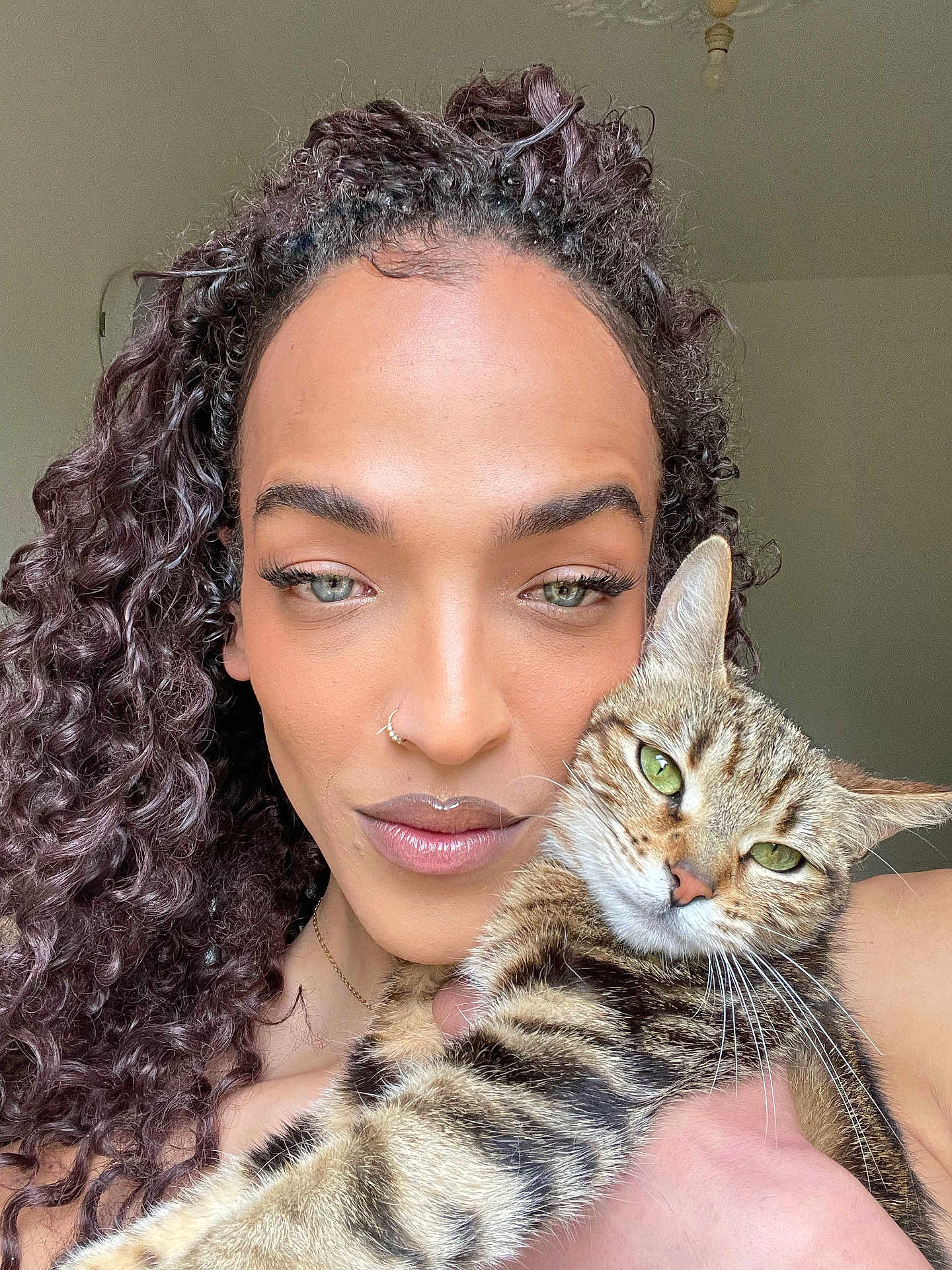 Clochette participe au concours pour gagner de l'argent avec cette photo : background, calm, cat, close_up, curly_hair, expression, face, feline, green_eyes, holding, indoor, makeup, natural_light, nose_ring, person, pet, portrait, skin, striped_cat, tabby_cat