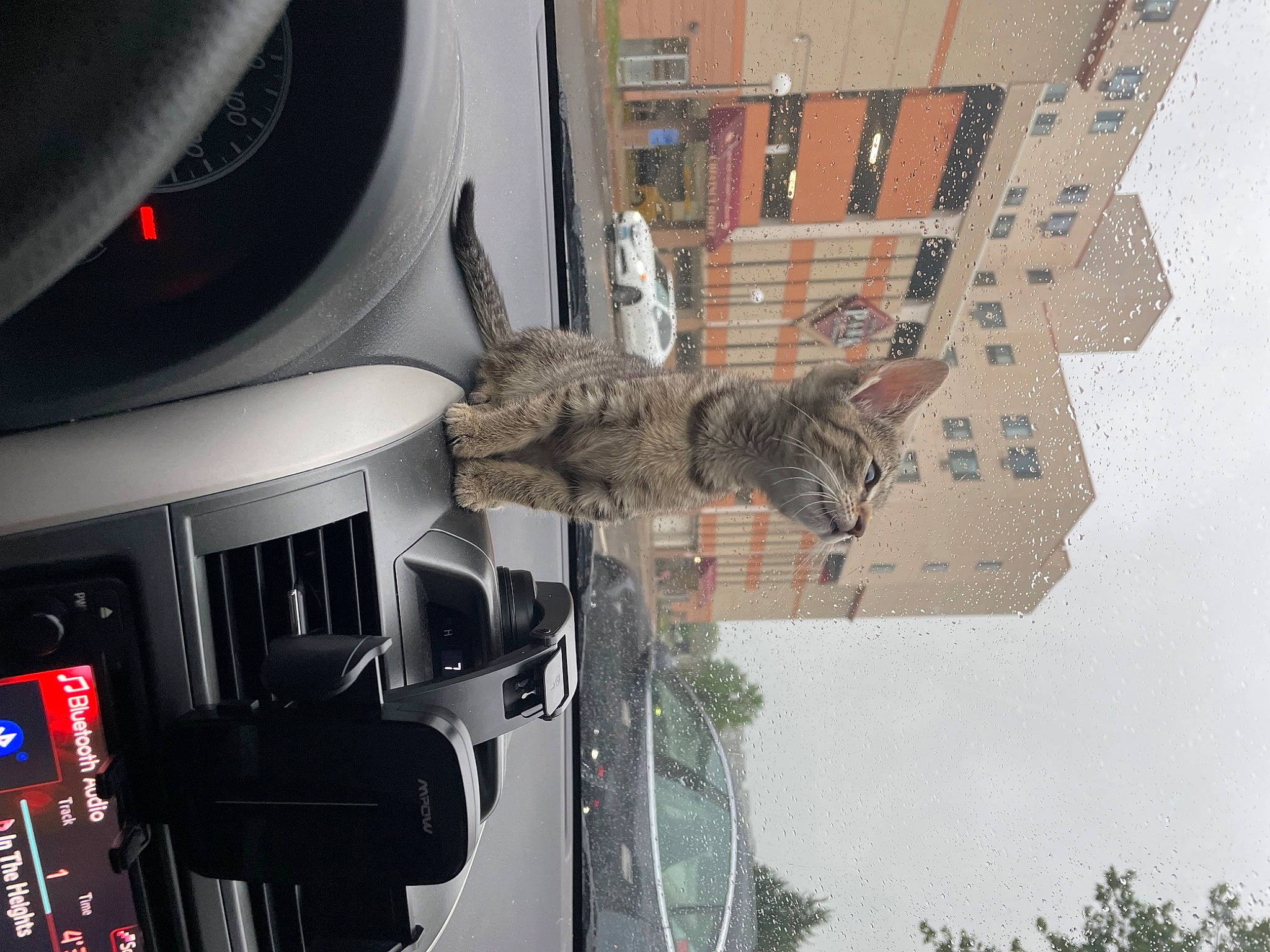 Sashimi joined the competition — help win amazing prizes! automotive_design, automotive_exterior, automotive_lighting, automotive_tail_brake_light, automotive_tire, building, bumper, car, fender, gas, motor_vehicle, plant, sculpture, sky, tire, tree, vehicle, vehicle_door, white, window