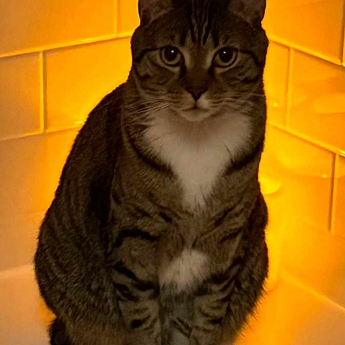 Rosie
