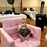 american_flag, armchair, baby, child, cute, dress, event_hall, exit_sign, high_chair, indoor, infant, photography, pink_chair, portrait, sitting, tablecloth, tables, trash_bin, wide_eyes, wooden_floor