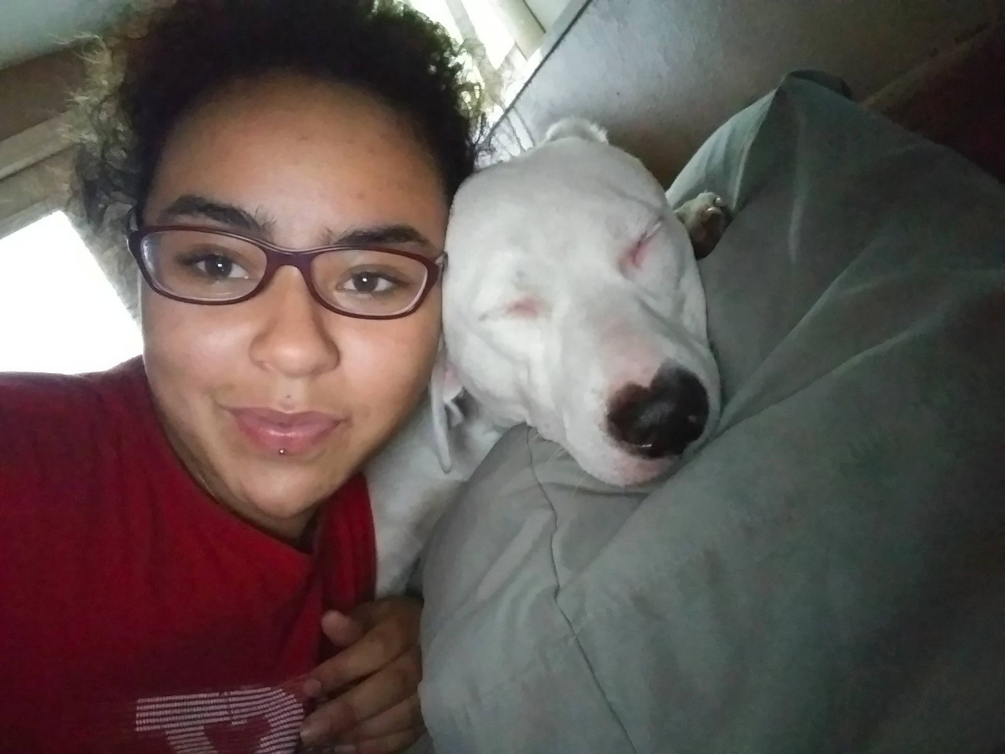August is registered to the contest to win money with this photo: american_pit_bull_terrier, bull_terrier, carnivoran, dog, dog_breed, dog_breed_group, dog_like_mammal, dogo_argentino, ear, face, head, jaw, mammal, mouth, non_sporting_group, nose, person, pit_bull, skin, snout