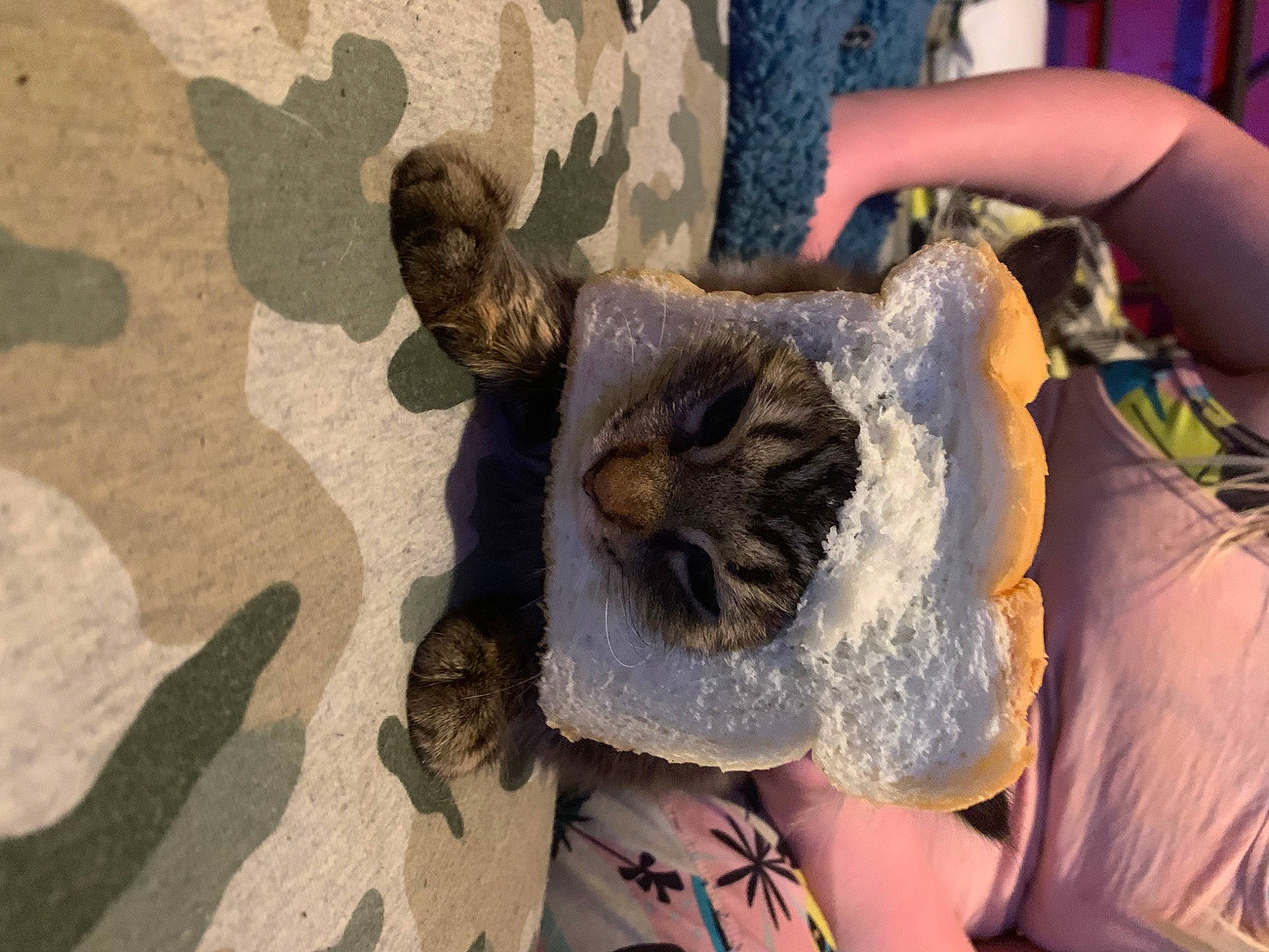 Otis Spunk Meyer Nussbaum