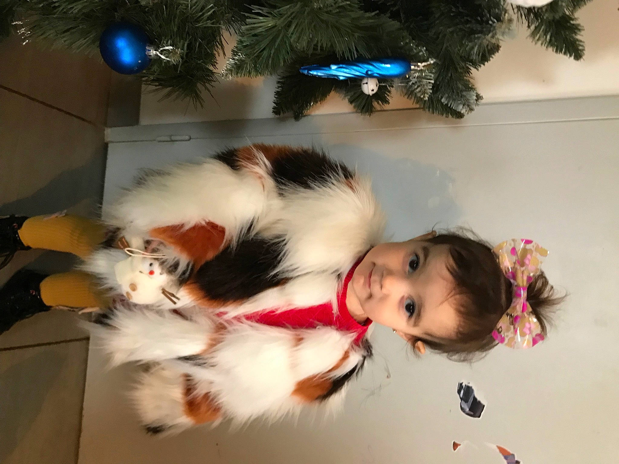 Kyra participe au concours pour gagner de l'argent avec cette photo : bangs, canidae, child, christmas, christmas_decoration, christmas_ornament, christmas_tree, companion_dog, costume, dog_breed, event, fun, fur, happy, holiday, human_body, lap, person, sporting_group, tail