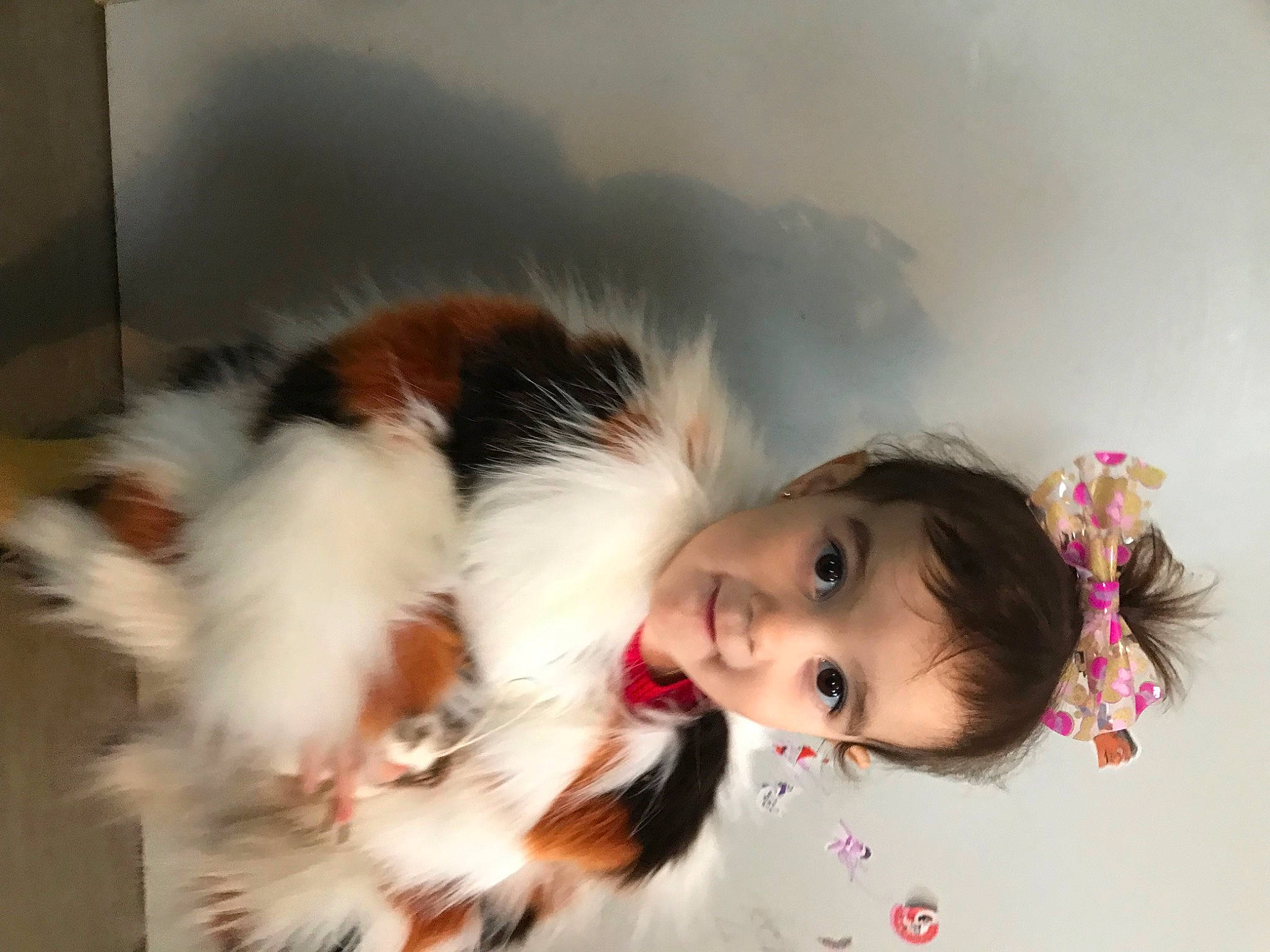 Kyra participe au concours pour gagner de l'argent avec cette photo : child, companion_dog, costume, doll, eyelash, flash_photography, fun, fur, hair_accessory, happy, natural_material, person, portrait_photography, toddler, toy, wig