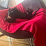 dog, relaxed, chair, red_blanket, indoor, tile_floor, pet, lying_down, black_dog, sunlight, cozy, furniture, canine, resting, domestic_animal, comfortable, home, animal, fur, paw