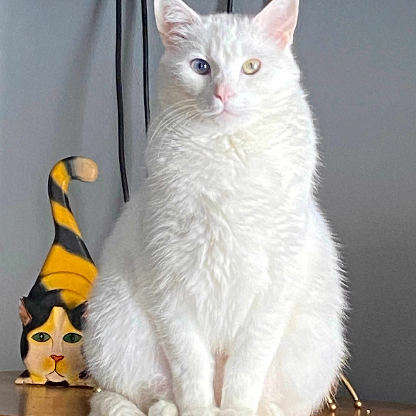 Ziggy joined the competition — help win amazing prizes! animal, blue_eye, cables, cat, cat_figurine, close_up, decor, feline, figurine, fluffy_fur, gray_wall, heterochromia, indoor, pet, portrait, sitting, striped_figurine, white_cat, wooden_surface, yellow_eye