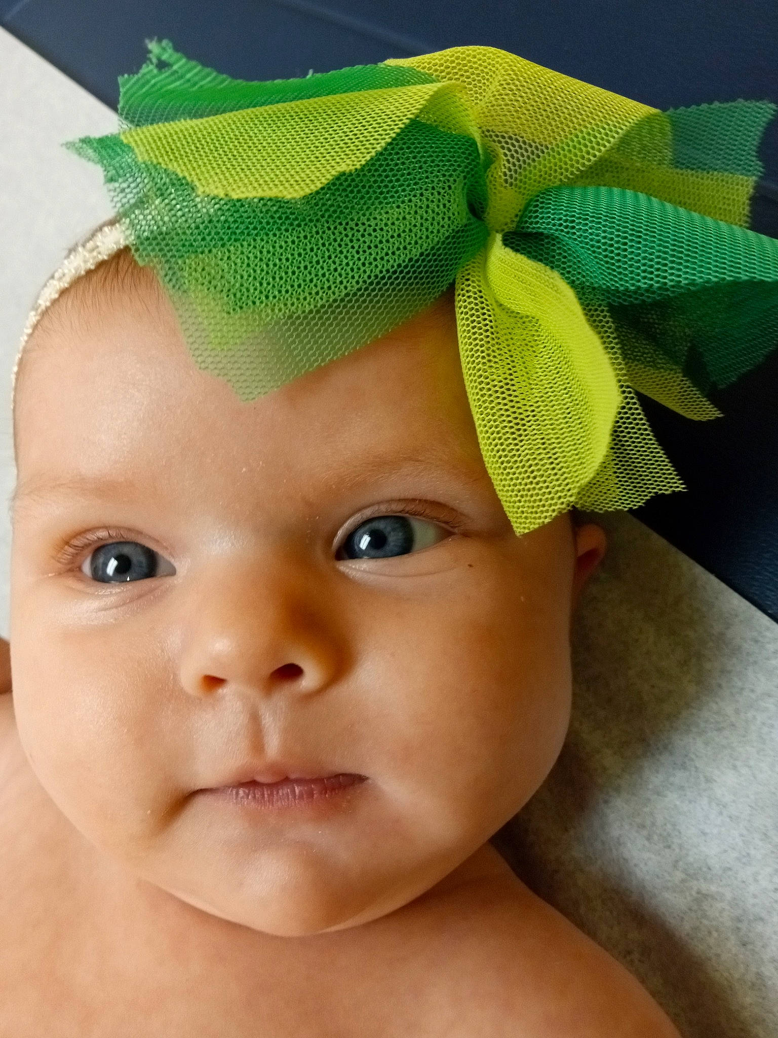 Ember joined the competition — help win amazing prizes! baby, baby_toddler_clothing, cap, cheek, child, costume_hat, eyebrow, eyelash, fashion_accessory, forehead, grass, hair_accessory, hairstyle, happy, head, headband, headgear, headpiece, headwear, person