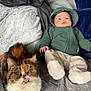 cat, calico_cat, baby, hoodie, blanket, indoor, cozy, fur, pet, child, cute, relaxing, orange_eyes, tongue_out, soft_texture, home, resting, clothing, furniture, portrait