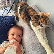 Senti a rejoint le concours — aidez-le/la à gagner de superbes lots ! baby, bottle, cat, couch, furniture, indoor, child, cute, domestic_animal, feline, mammal, person, resting, sleepy, stretching, young_child, wearing, clothing, home, soft_lighting