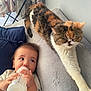 baby, bottle, cat, couch, furniture, indoor, child, cute, domestic_animal, feline, mammal, person, resting, sleepy, stretching, young_child, wearing, clothing, home, soft_lighting