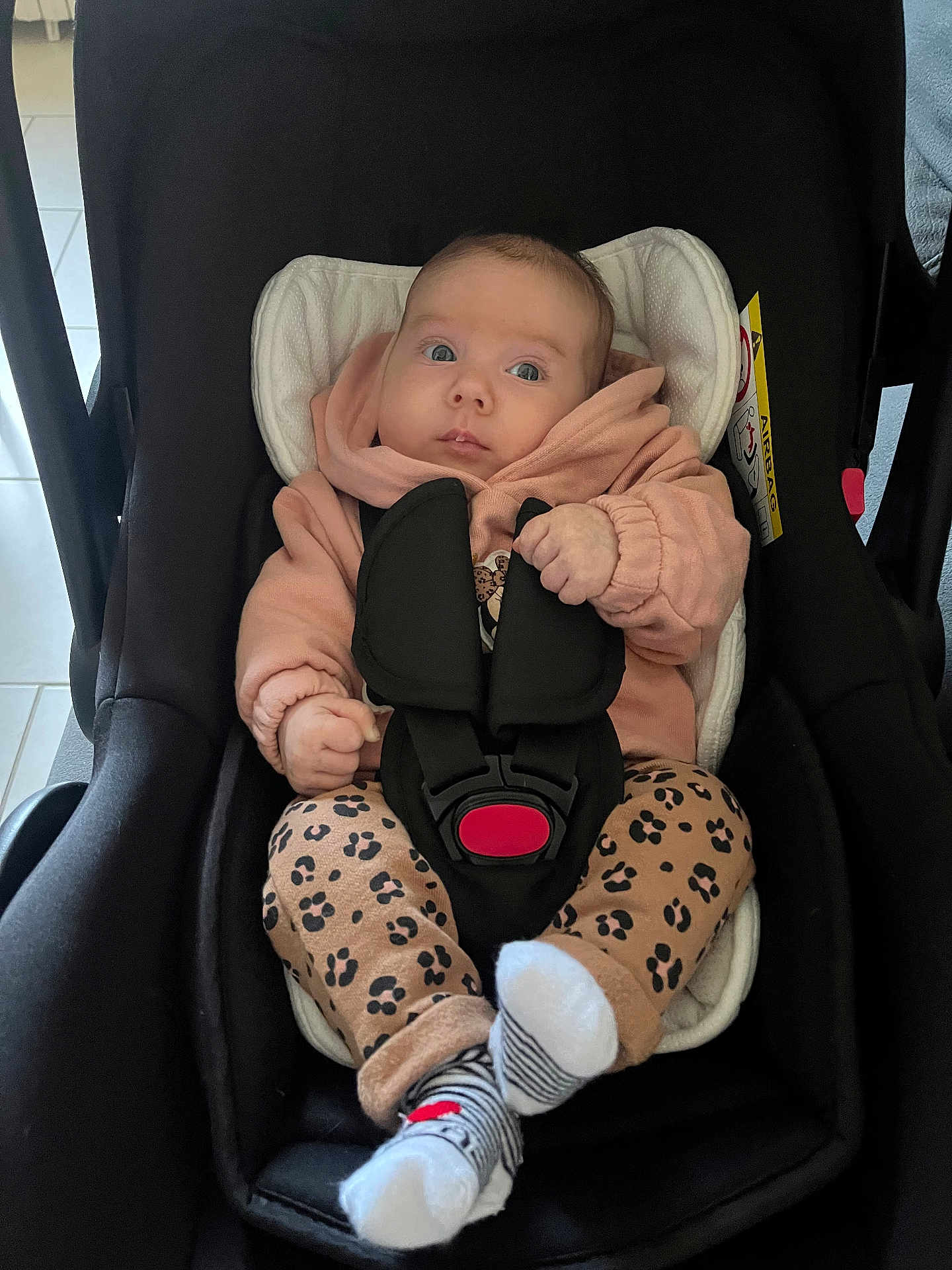 Elyana participe au concours pour gagner de l'argent avec cette photo : baby, car_seat, infant, clothing, hoodie, leopard_print, socks, safety_harness, indoor, tile_floor, black, pink, cute, child, young, seated, portrait, expression, person, face