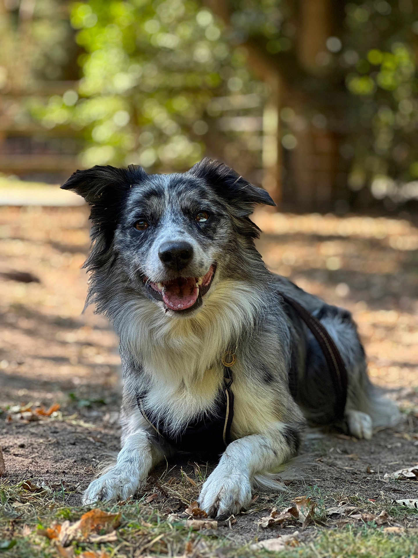 Milo