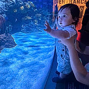 Jack joined the competition — help win amazing prizes! child, toddler, aquarium, glass, underwater, fish, blue_light, curiosity, hands, support, indoor, person, baby, overalls, reflection, water, marine_life, exhibit, face, expression