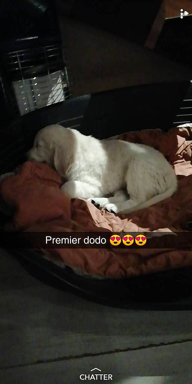 Olaf a rejoint le concours — aidez-le/la à gagner de superbes lots !