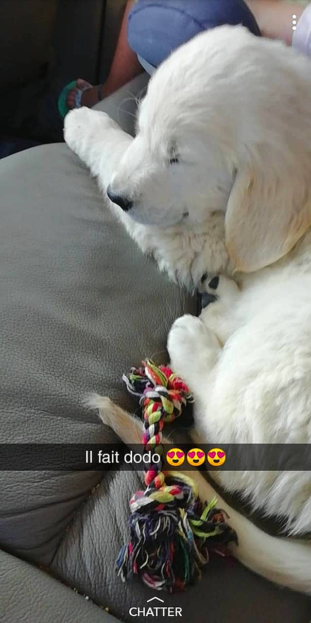 Olaf a rejoint le concours — aidez-le/la à gagner de superbes lots !