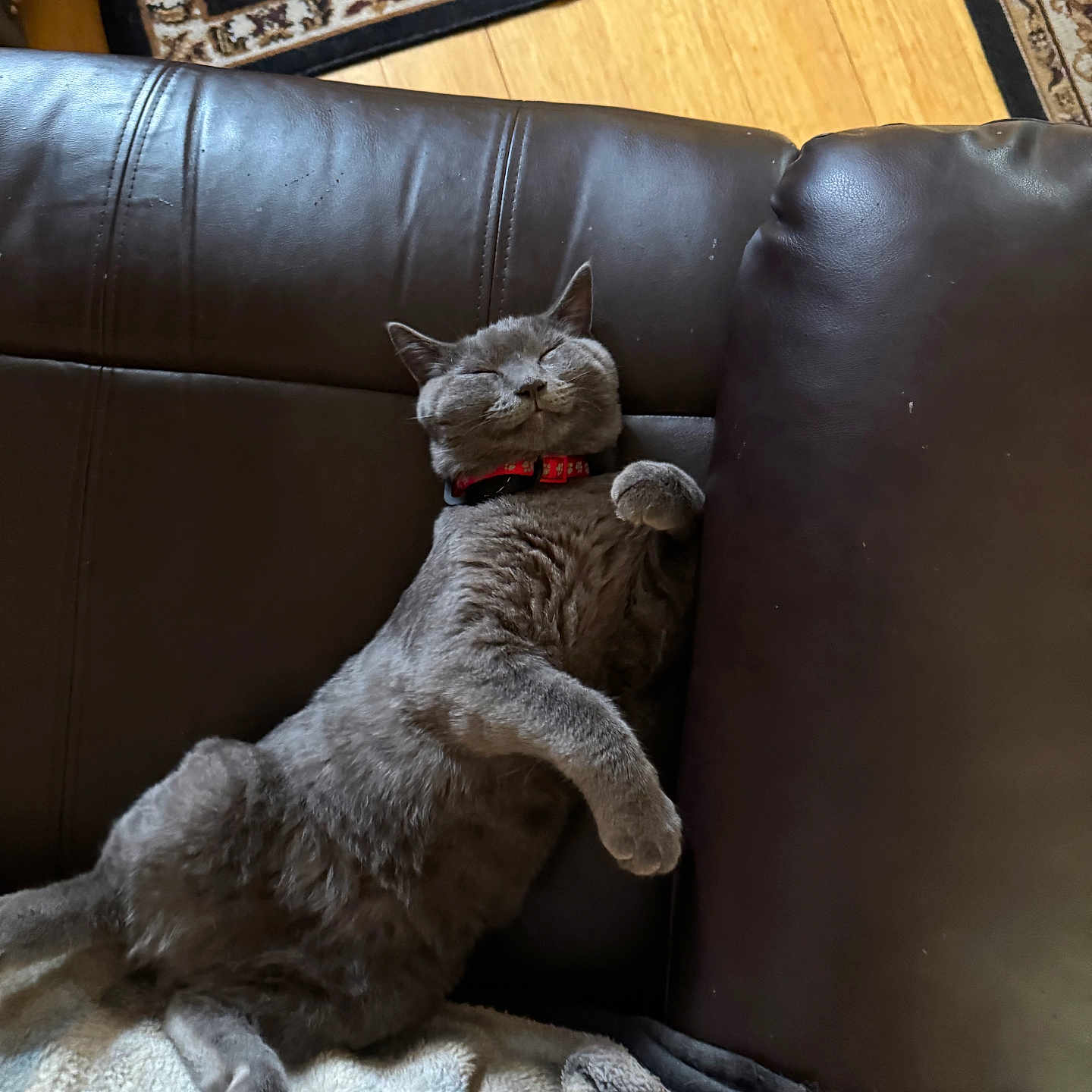 Frankie