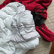 Holly is registered to the contest to win money with this photo: dog, blanket, red_blanket, white_blanket, cozy, resting, pet, snug, comfort, indoor, fur, canine, bedroom, patterned_blanket, sleeping_area, relaxed, home, animal, cute, wrapped