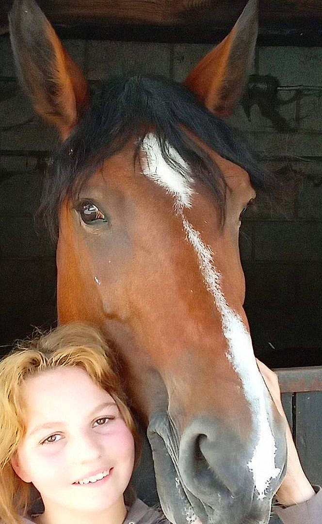 Sensept participe au concours pour gagner de l'argent avec cette photo : bit, bridle, chin, ear, eye, eyebrow, eyelash, hair, head, horse, horse_supplies, horse_tack, jaw, joy, liver, mammal, neck, nose, person, smile