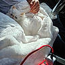 kitten, cat, white_cat, blue_eyes, blanket, plush_blanket, person, hand, arm, car_interior, steering_wheel, sunlight, cozy, lap, cuddle, pet, cute, furry, domestic_animal, resting