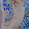 animal, bedspread, blue, cat, cozy, cute, cute_pet, domestic_cat, feline, floral_pattern, fluffy, green, indoor, orange_tail, pet, relaxed, resting, sleeping, soft, white_cat