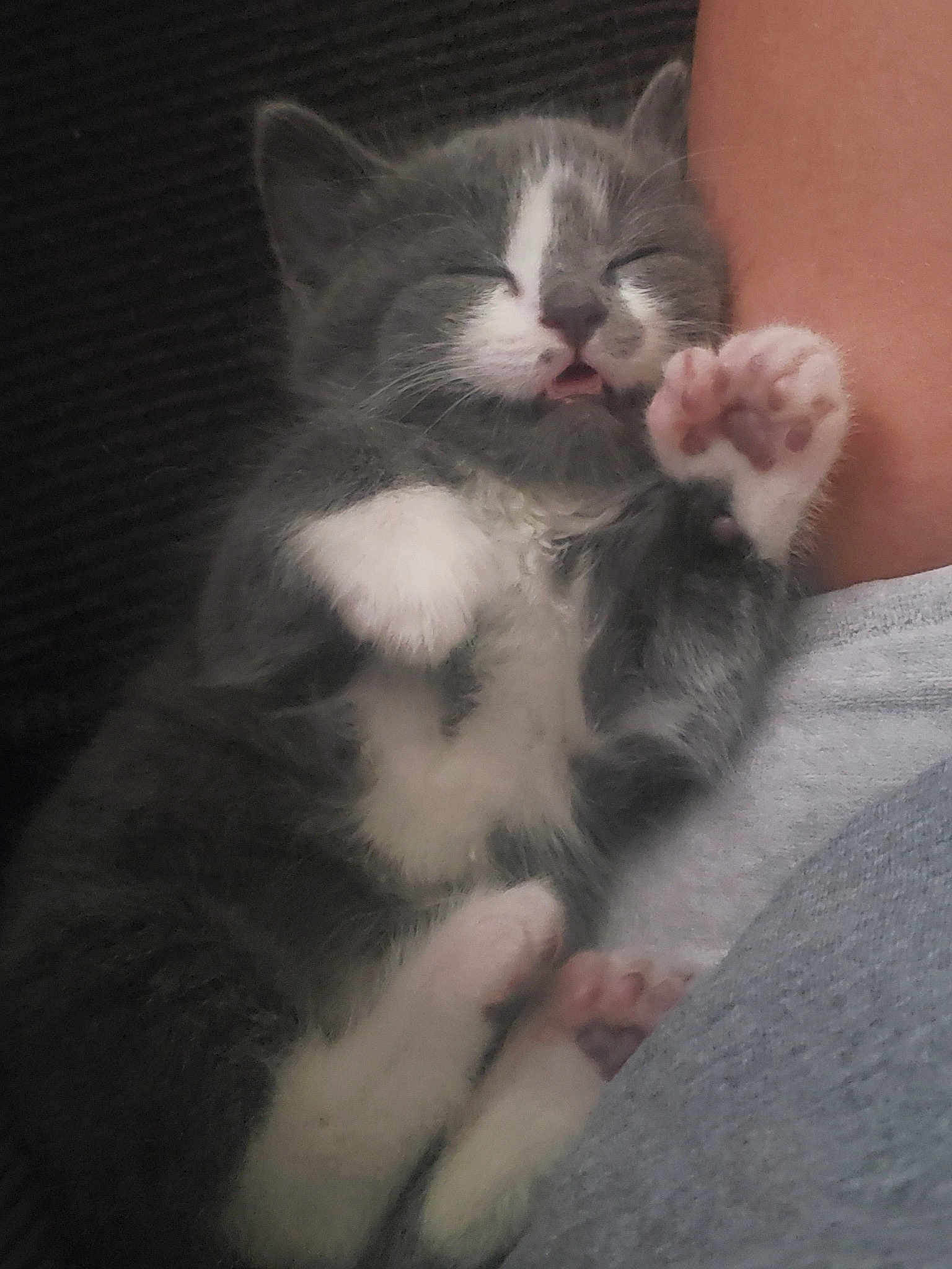 Luna