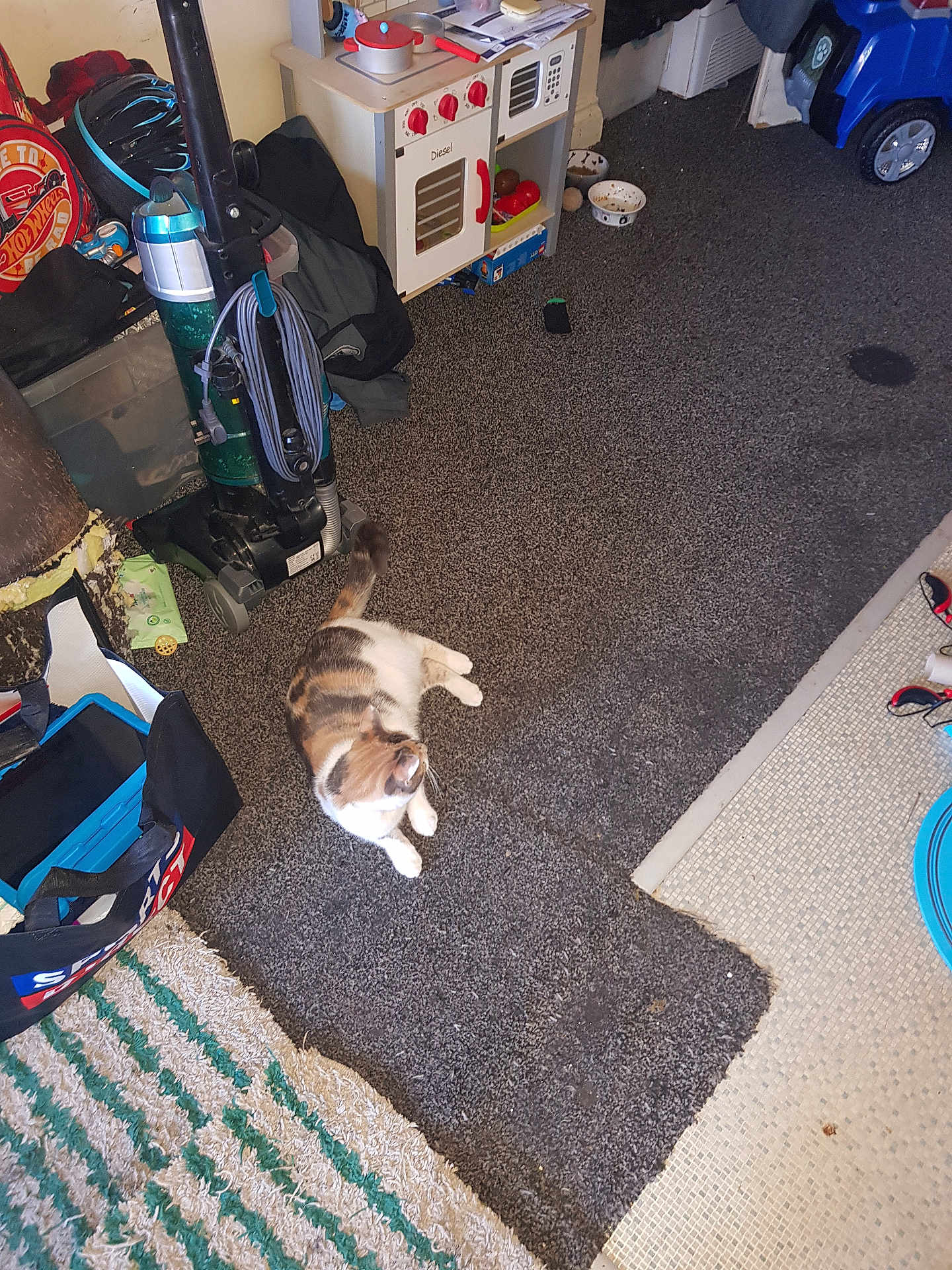 Tickbell joined the competition — help win amazing prizes! cat, calico_cat, carpet, vacuum_cleaner, toy_kitchen, toy, floor, indoor, clutter, bag, plastic_container, bowl, childs_toy, striped_rug, household_item, pet, playroom, flooring, domestic_cat, animal