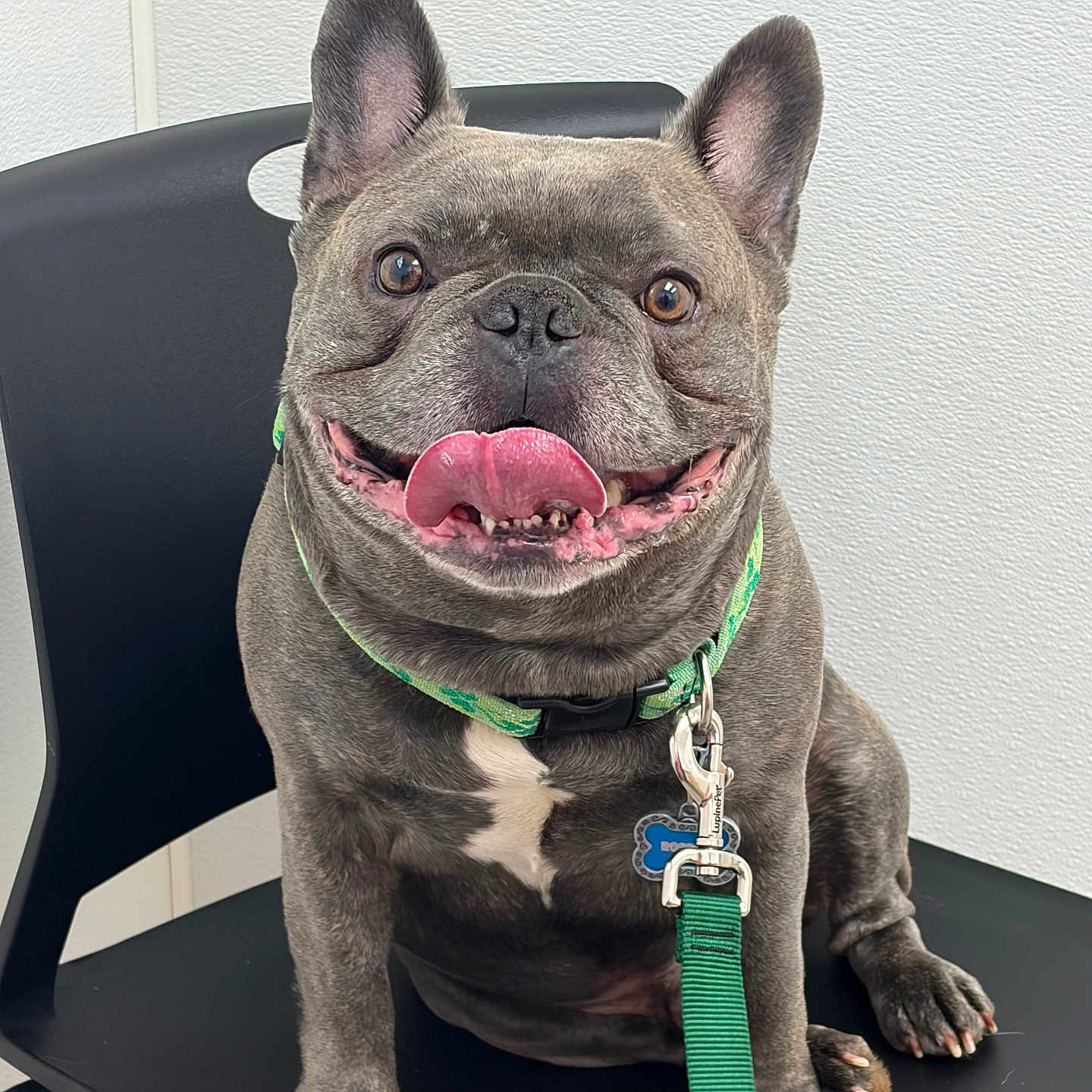 Roscoe
