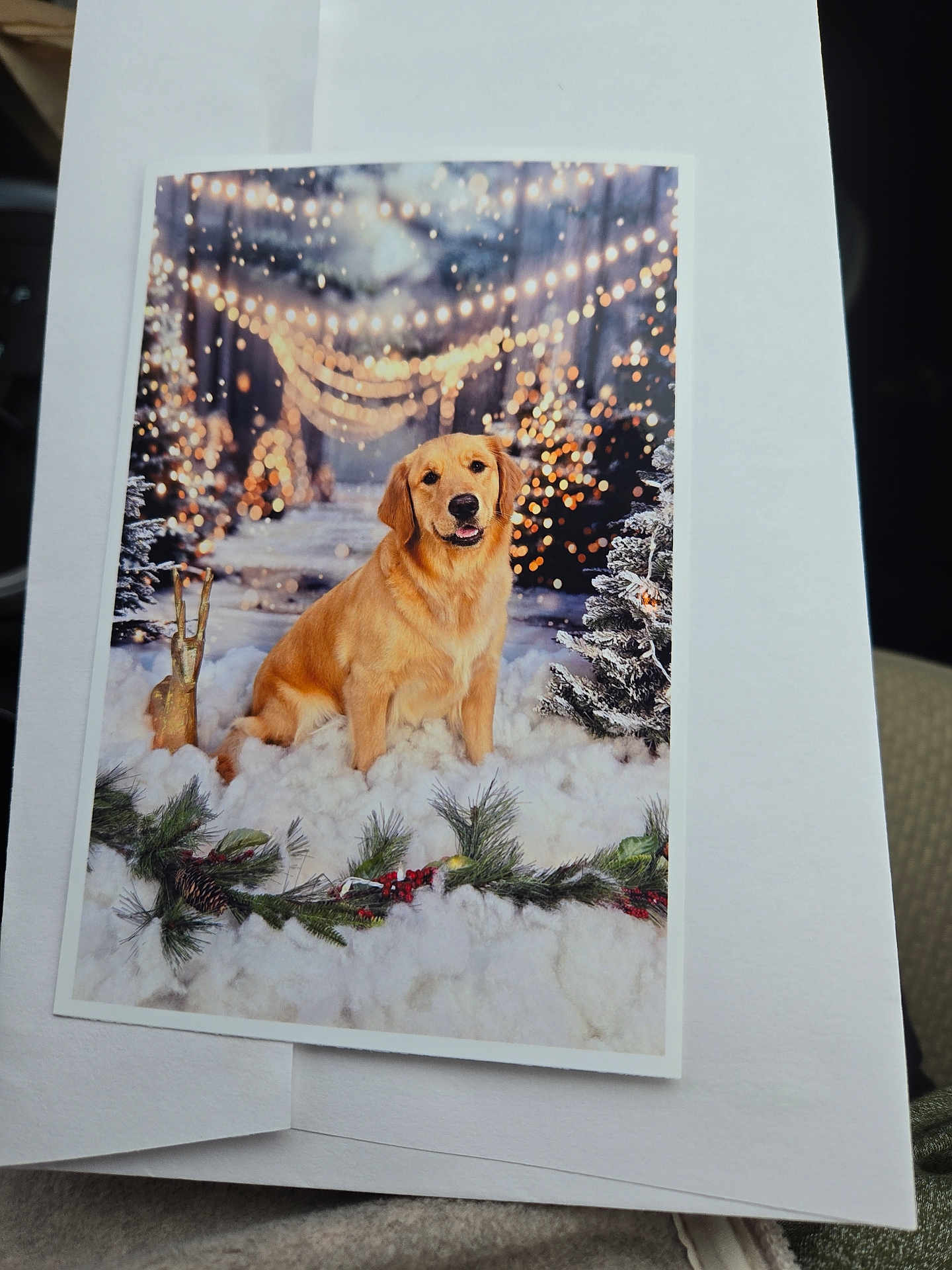 Chloe