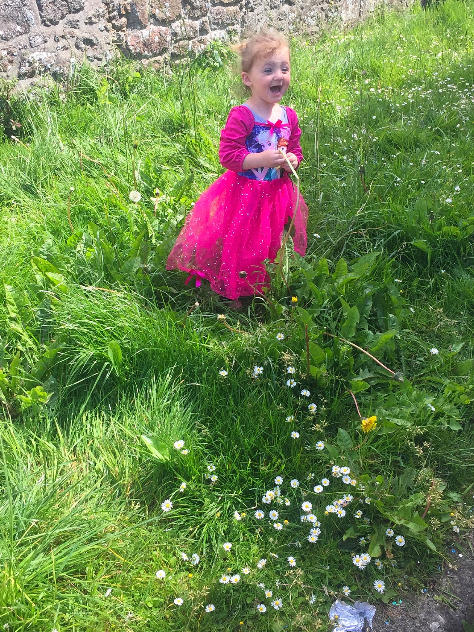Sharon a rejoint le concours — aidez-le/la à gagner de superbes lots ! botany, child, dress, flower, grass, grass_family, groundcover, herbaceous_plant, lawn, meadow, perennial_plant, person, pink, plant, shrub, spring, toddler, wildflower