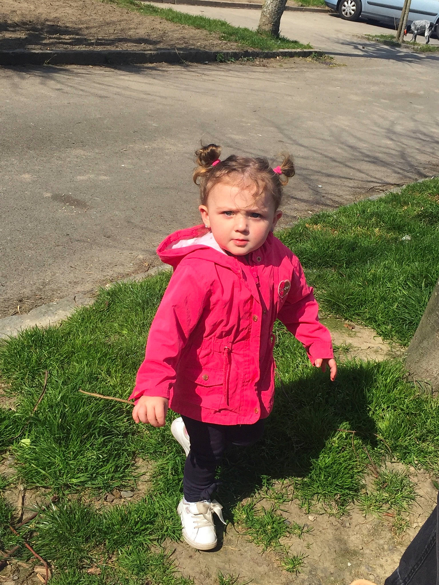 Sharon a rejoint le concours — aidez-le/la à gagner de superbes lots ! child, fun, grass, jacket, leaf, leisure, outerwear, person, plant, play, recreation, smile, toddler, vacation, walking