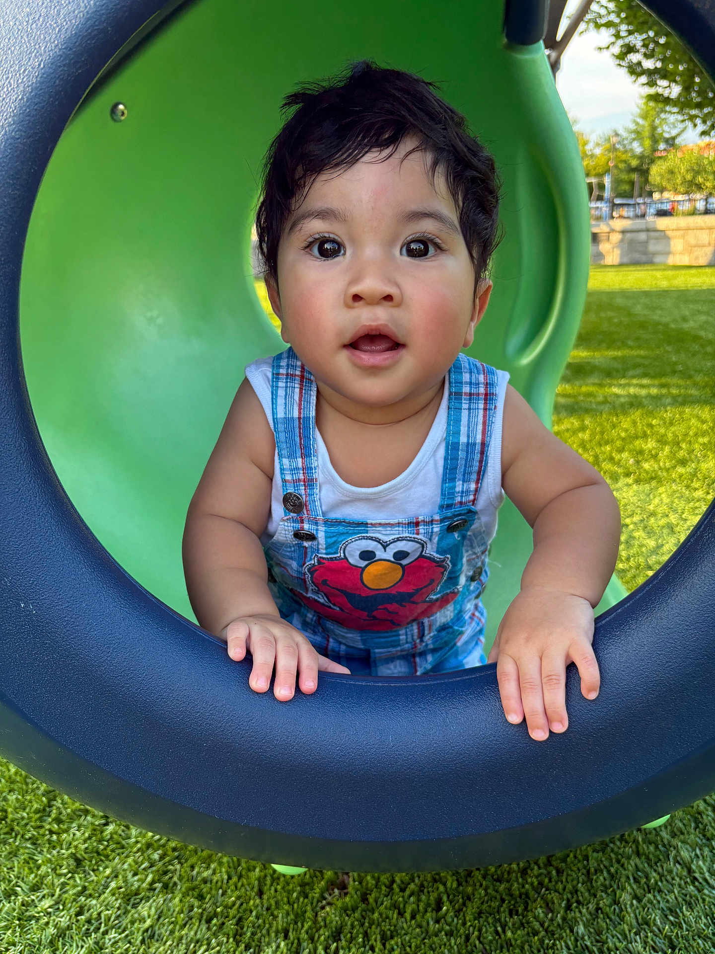 Kylo is registered to the contest to win money with this photo: child, toddler, playground, slide, tunnel, outdoor, grass, green, blue, clothing, overall, elmo, face, hands, curious, expression, summer, sunlight, park, play