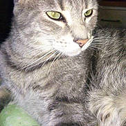 Lander is registered to the contest to win money with this photo: