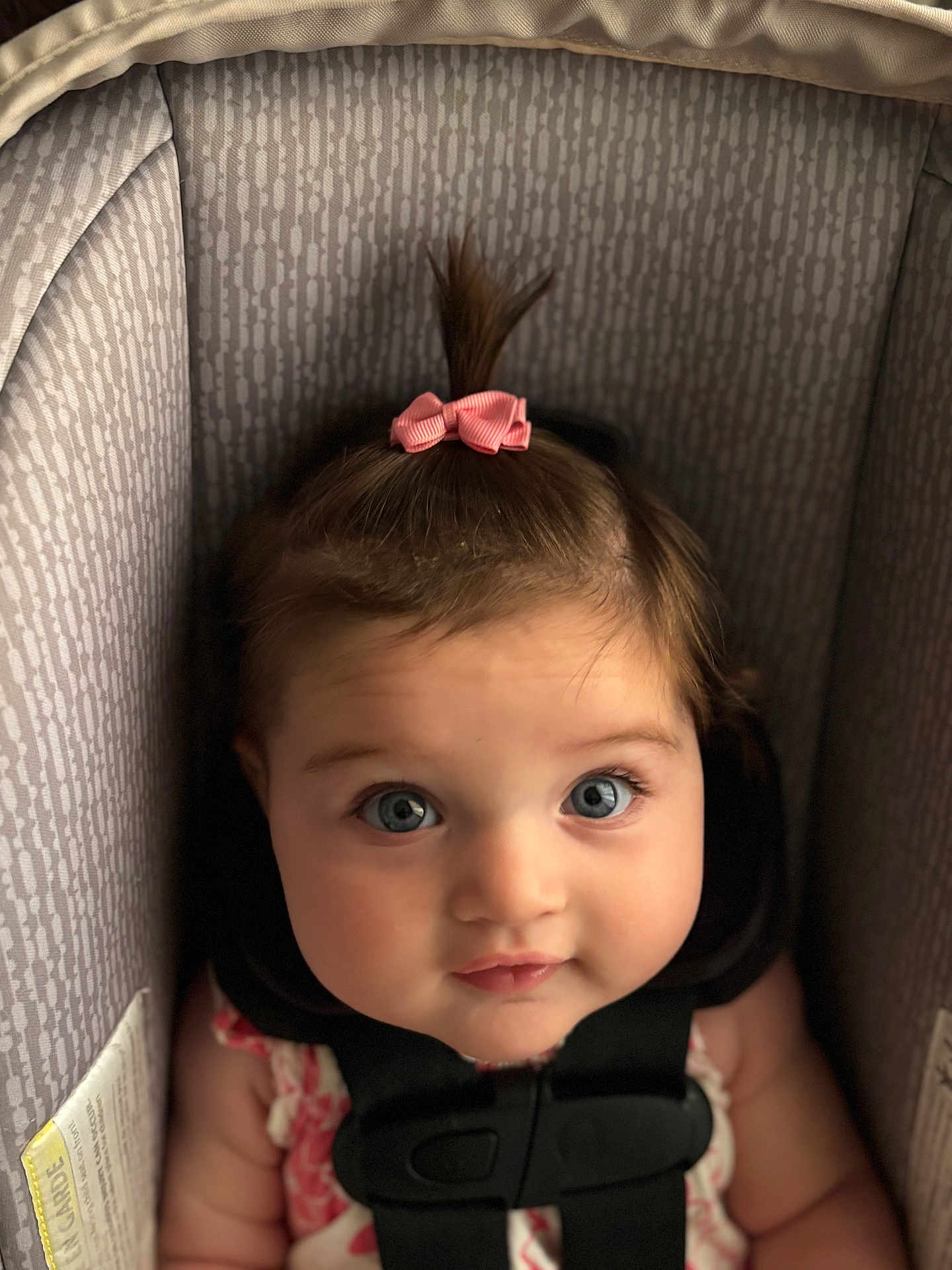 Hayzleigh is registered to the contest to win money with this photo: adorable, baby, blue_eyes, car_seat, child, closeup, cute, expression, face, hair, indoor, infant, looking_up, patterned, pink_bow, portrait, sitting, soft_lighting, straps, young_child