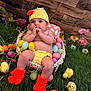 Hayzleigh is registered to the contest to win money with this photo: baby, basket, chicks, child, colorful, costume, cute, easter, flowers, grass, holiday, infant, knitted_booties, knitted_hat, plastic_eggs, playful, portrait, spring, toy, wooden_background