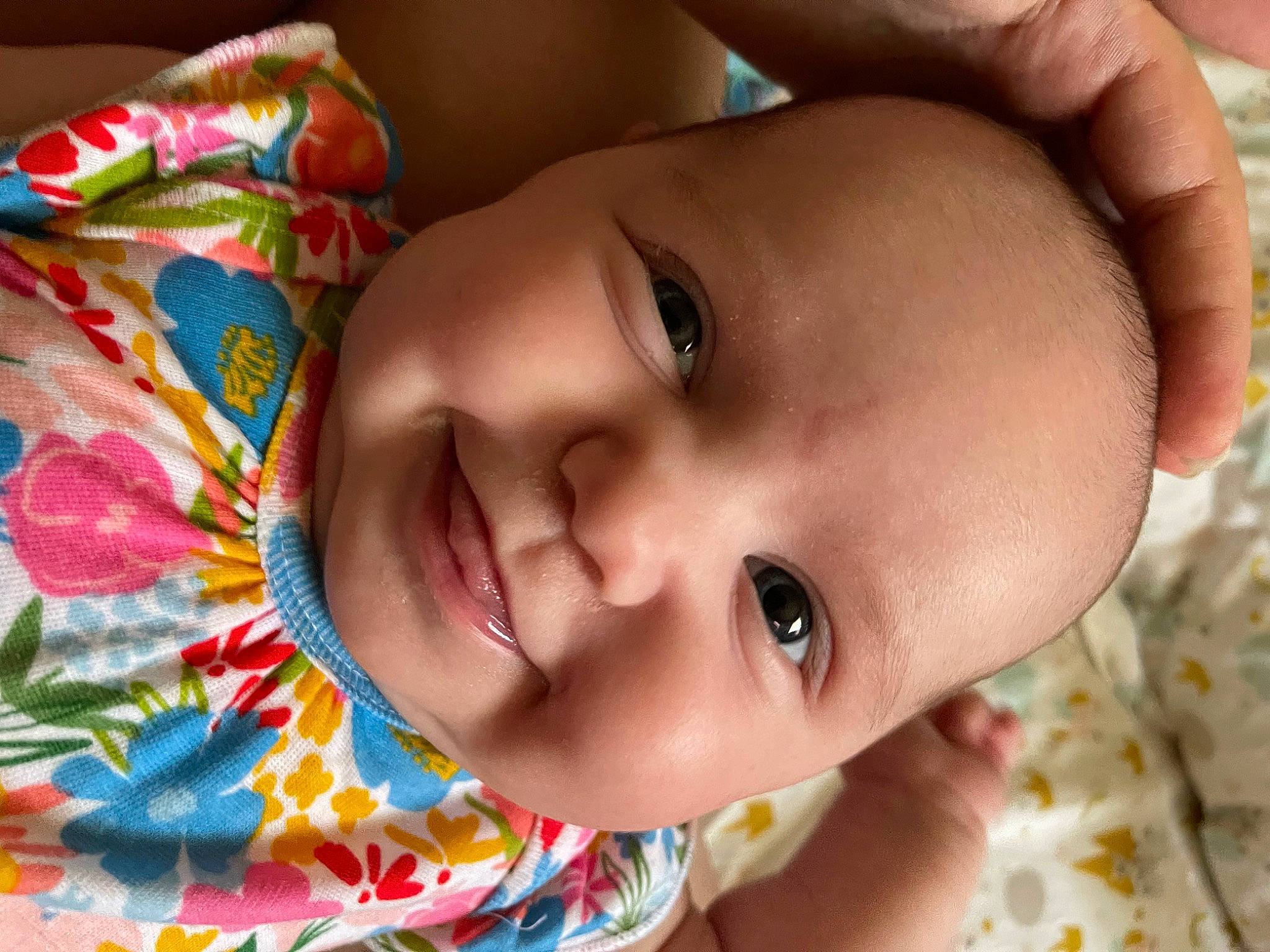 Gracelyn is registered to the contest to win money with this photo: baby, baby_toddler_clothing, cheek, chin, dress, eye, eyebrow, eyelash, facial_expression, forehead, happy, head, iris, joy, lip, mouth, nose, person, plant, skin