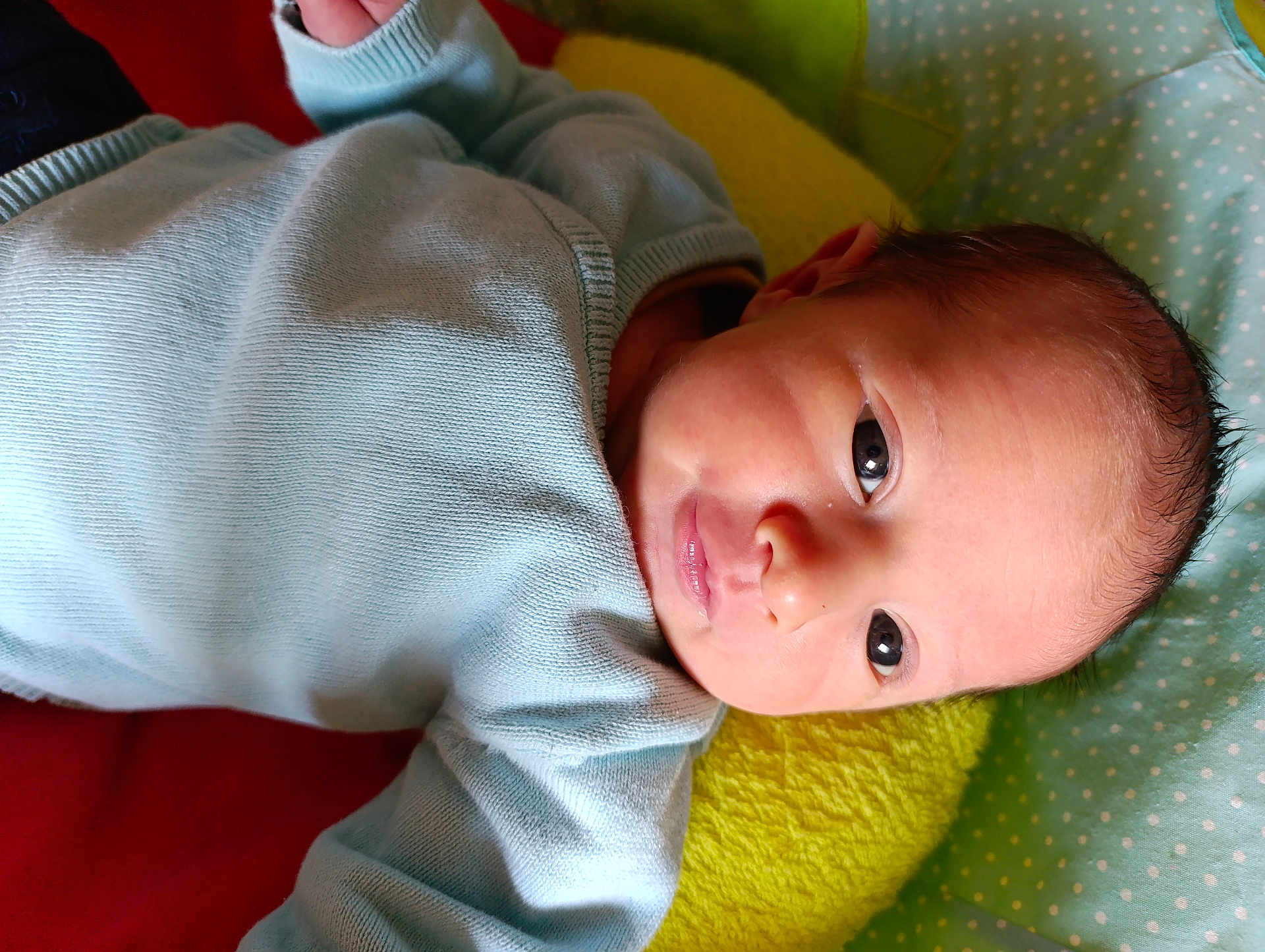 Marceau participe au concours pour gagner de l'argent avec cette photo : baby, newborn, infant, face, blue_sweater, lying_down, curious, soft_texture, colorful_background, child, portrait, closeup, head, skin, person, cute, indoors, warm, comfort, young