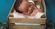 Kanan joined the competition — help win amazing prizes! newborn, baby, sleeping, crate, wooden_crate, fur, green_leaves, flowers, blue_background, infant, peaceful, cute, portrait, resting, soft_texture, cozy, indoors, child, person, photography