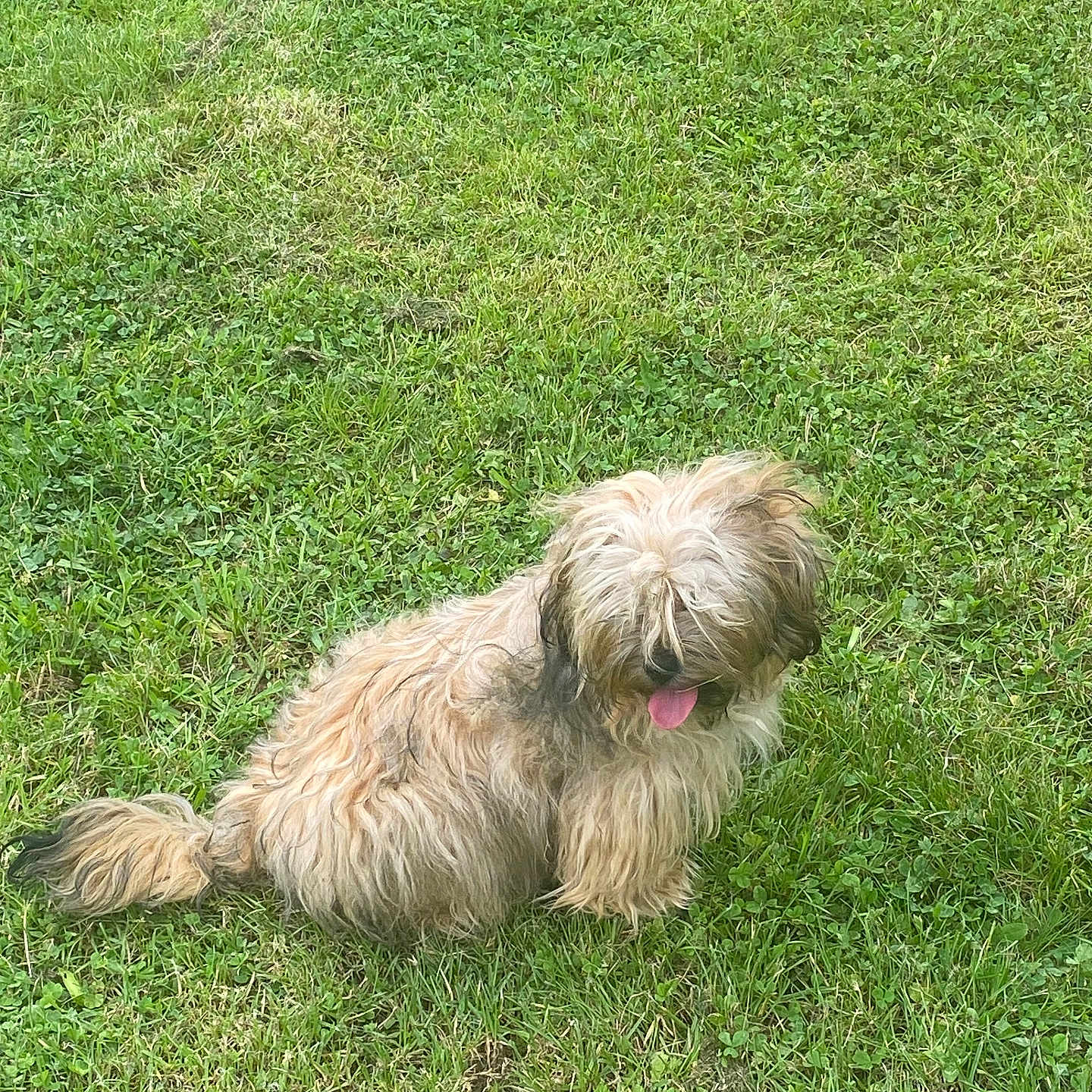 Luna
