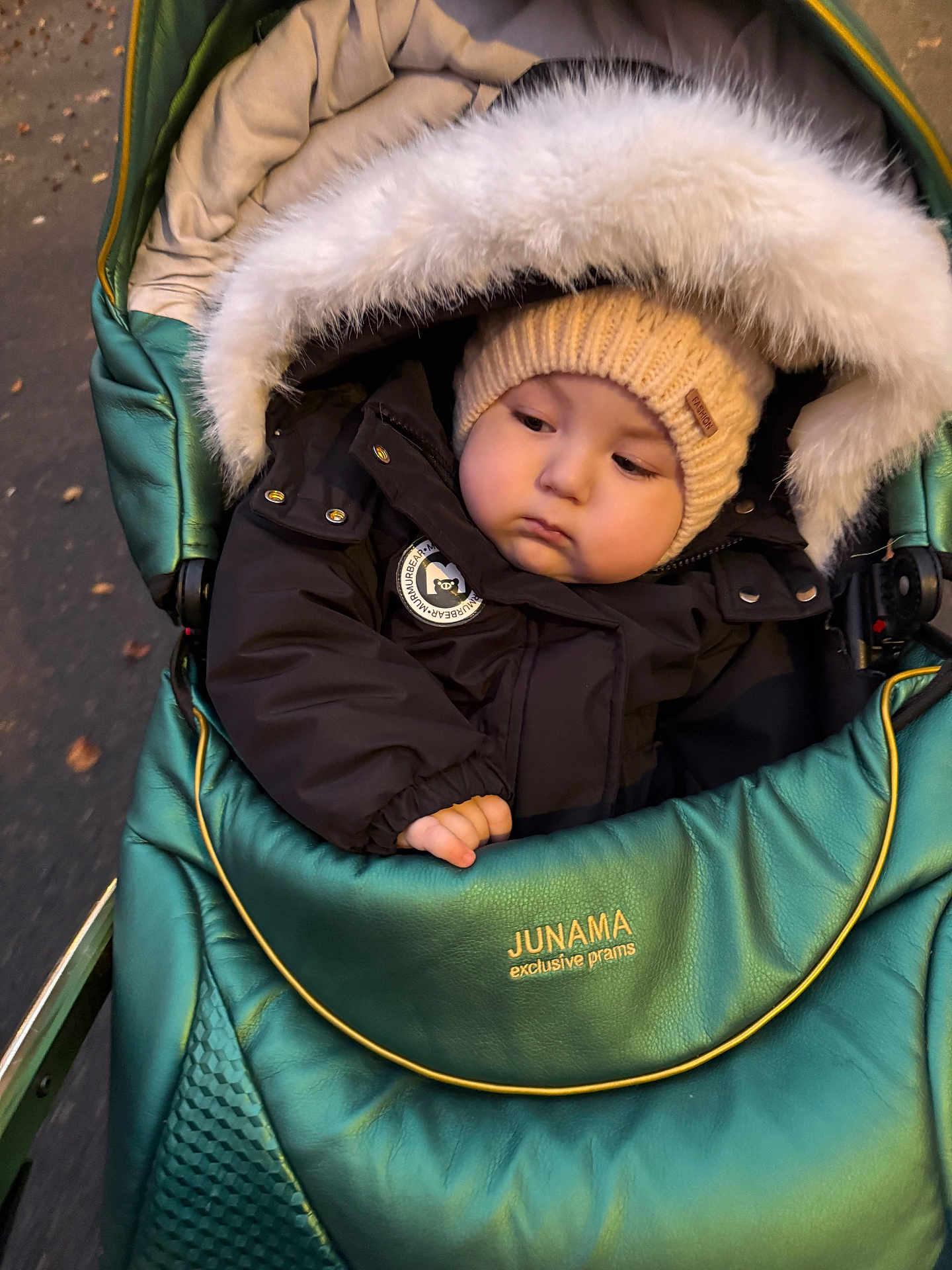 Manil a rejoint le concours — aidez-le/la à gagner de superbes lots ! baby, child, pram, stroller, jacket, hood, hat, knit_hat, fur_trim, outdoor, autumn, fall_leaves, green, black_clothing, cute, cold_weather, cozy, portrait, infant, person