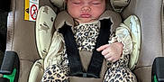 Isla is registered to the contest to win money with this photo: baby, sleeping, car_seat, bunny_pattern, leopard_print, white_socks, infant, child, seatbelt, cute, cozy, resting, clothing, fabric, straps, head_support, newborn, comfort, indoor, safety