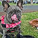 Lucy