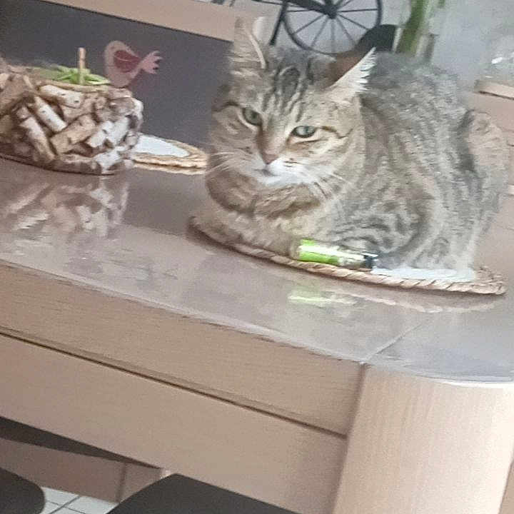 Moumoune