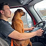 Atlas is registered to the contest to win money with this photo: man, dog, vehicle_interior, driving, seatbelt, brown_dog, dog_sitting, looking_out_window, car_seat, steering_wheel, side_mirror, rainy_window, casual_clothing, indoors, portrait, animal, pet, human, transportation, daytime