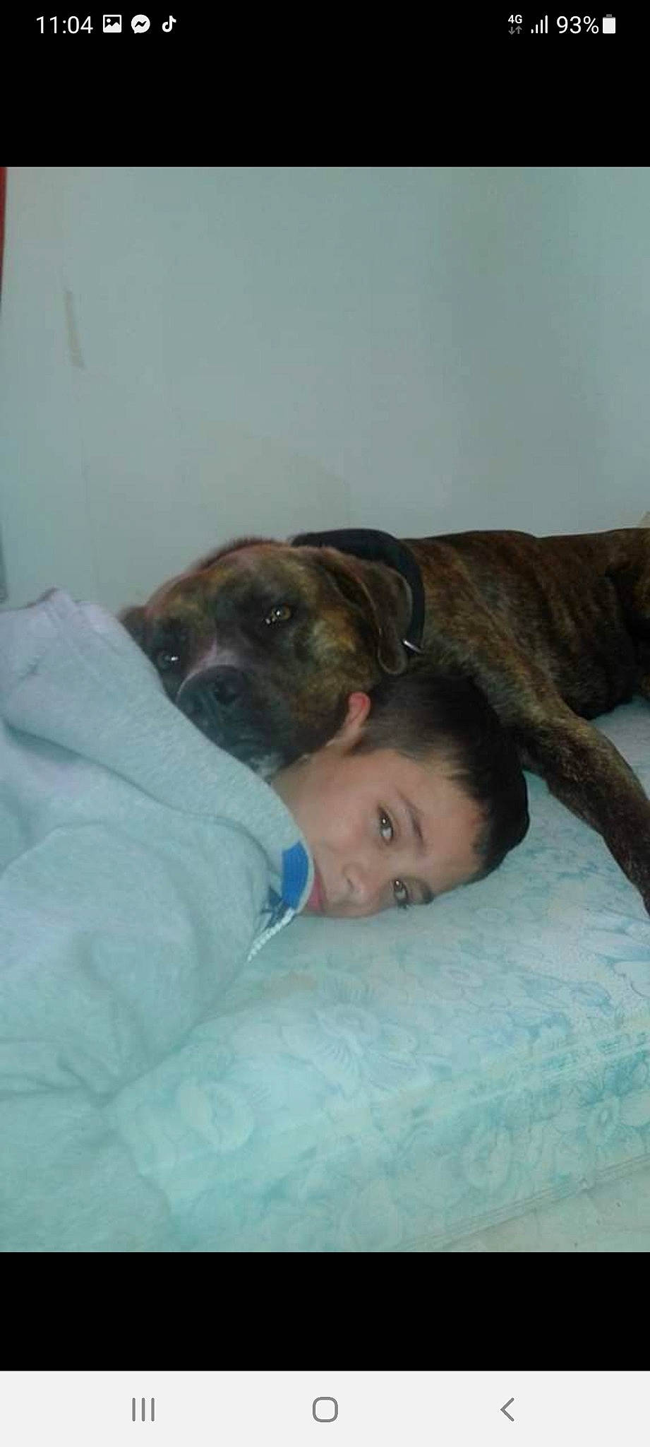 Guyzmo participe au concours pour gagner de l'argent avec cette photo : canidae, carnivore, comfort, companion_dog, dog, dog_breed, ear, fawn, fur, guard_dog, linens, nap, paw, sleep, snout, sporting_group, terrestrial_animal, whiskers, working_animal, wrinkle