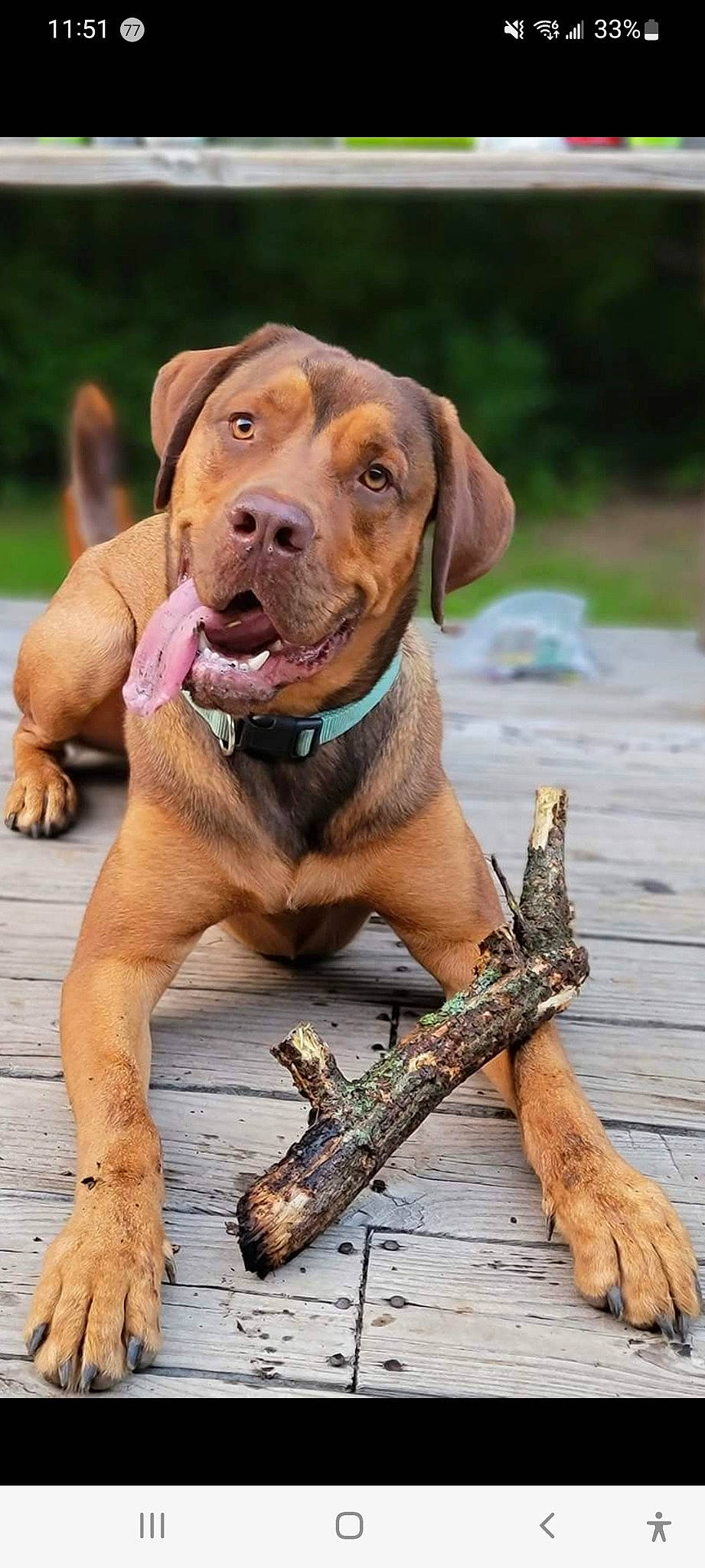 Roco