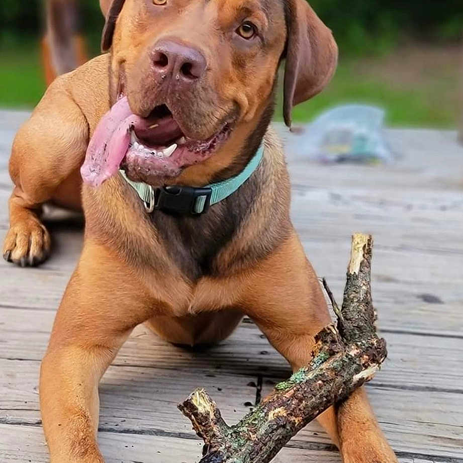 Roco