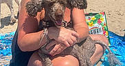 Mia joined the competition — help win amazing prizes! woman, dog, poodle, beach, sand, towel, sunny, smiling, sunglasses, relaxation, summer, vacation, outdoor, pet, happy, blue, colorful, people, nature, casual